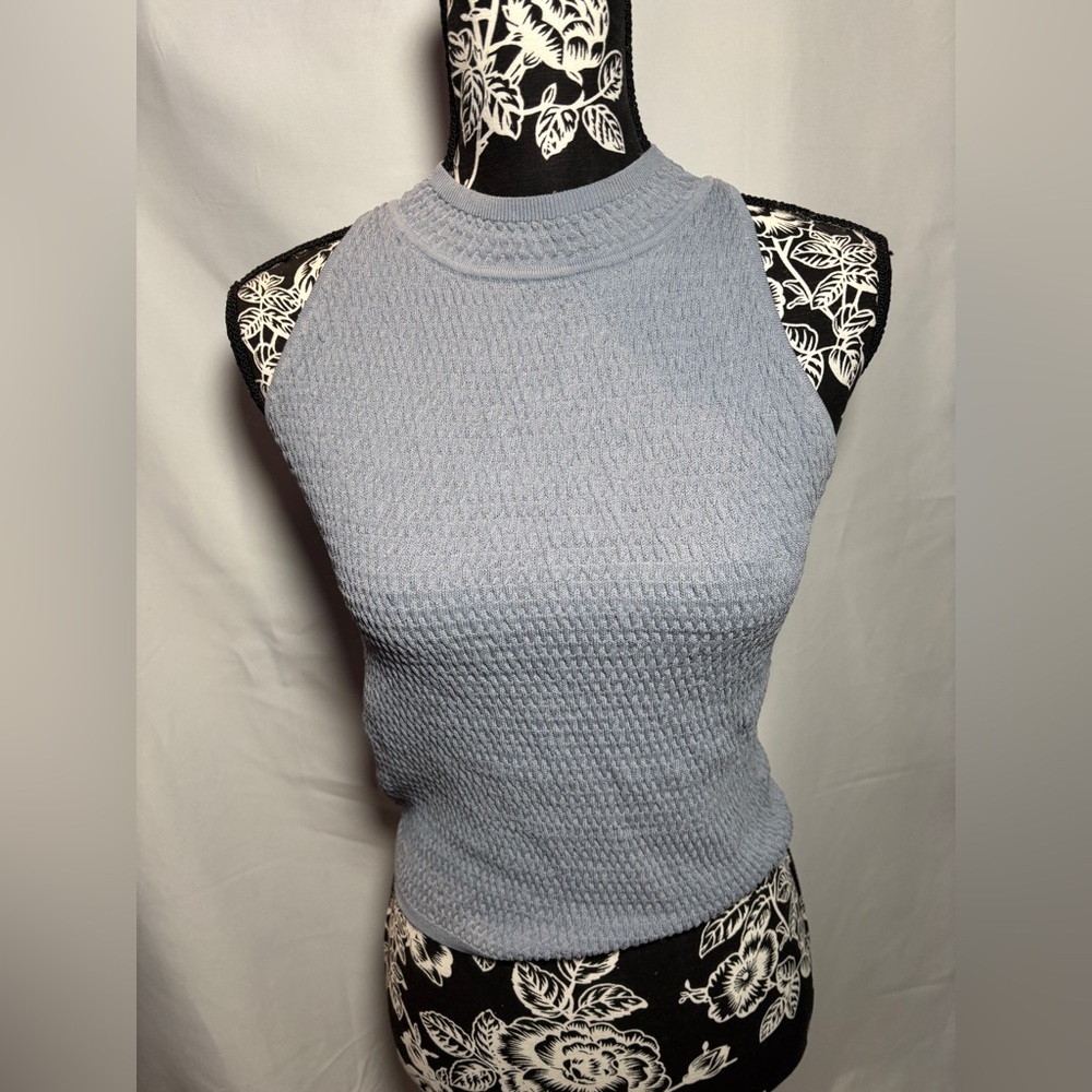 NWOT Buckle Willow & Root Blue Mock Neck Crop Top